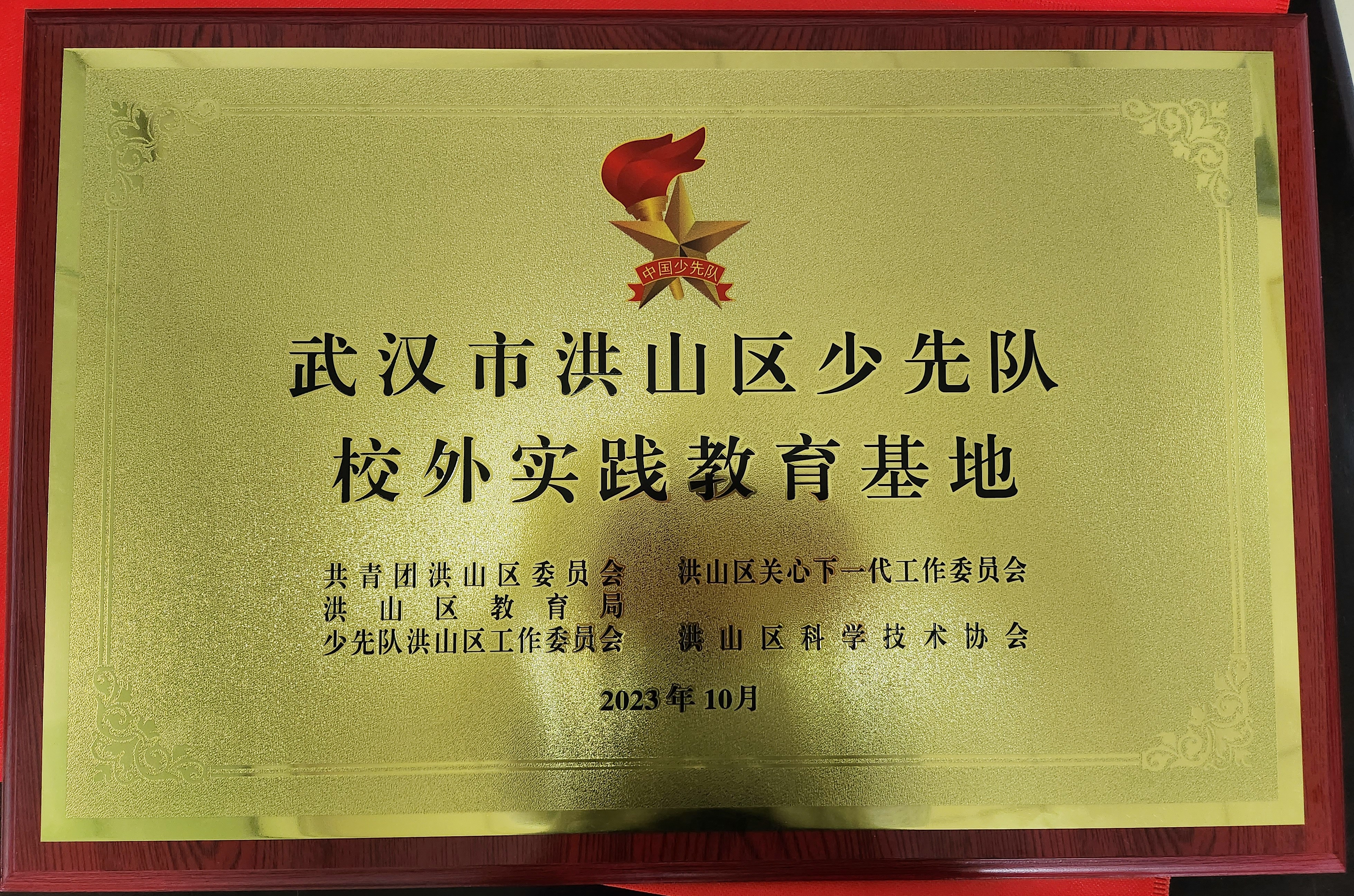 20231013我馆参加洪山区关心下一代工作委员会捐赠仪式暨洪山区广埠屯小学和平分校入队仪式.jpg
