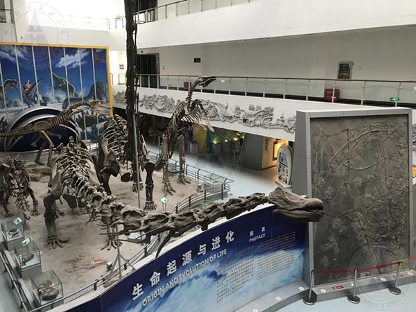 QQ图片20191219082118_副本.jpg